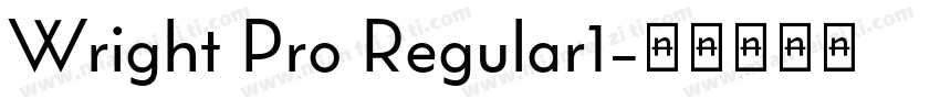 Wright Pro Regular1字体转换